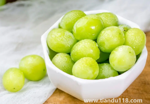 陽(yáng)光玫瑰葡萄和晴王葡萄是一個(gè)品種嗎(吃陽(yáng)光玫瑰有什么好處)(圖3) 陽(yáng)光玫瑰葡萄和晴王葡萄是一個(gè)品種嗎3