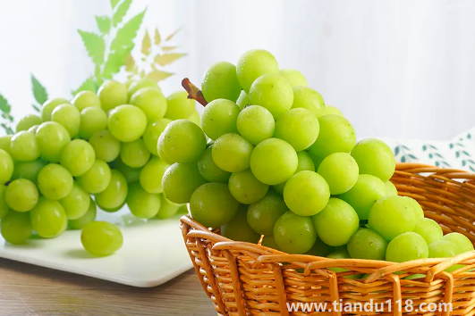 陽(yáng)光玫瑰是晴王葡萄嗎（陽(yáng)光玫瑰怎么挑選）