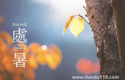 2022處暑之后天氣會(huì)涼快一些嗎(處暑吃什么食物養(yǎng)生)(圖1) 2022處暑之后天氣會(huì)涼快一些嗎1