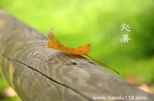 2022處暑之后天氣會(huì)涼快一些嗎(處暑吃什么食物養(yǎng)生)(圖3) 2022處暑之后天氣會(huì)涼快一些嗎3