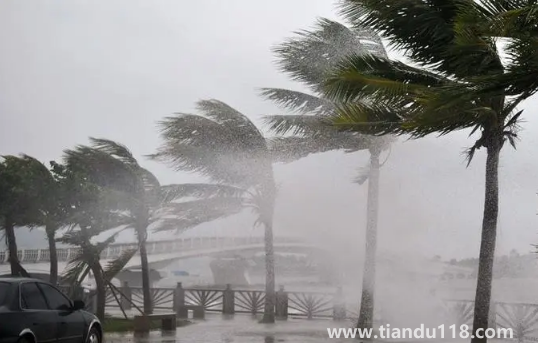 2022年為什么臺風這么少1