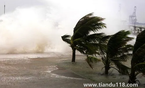 2022年為什么臺風這么少3