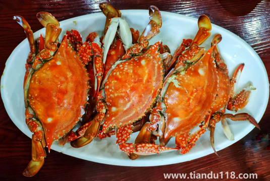 蒸梭子蟹要放生姜片嗎（梭子蟹怎么挑選）