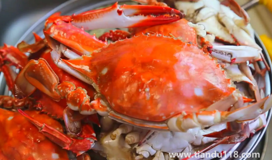 蒸梭子蟹要放生姜片嗎(梭子蟹怎么挑選)(圖2) 蒸梭子蟹要放生姜片嗎2