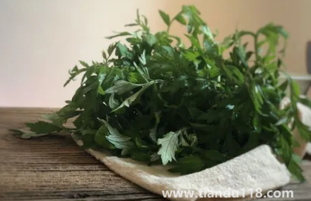 新娘床上放艾草寓意什么(新娘床上放艾草什么時候放)(圖3) 新娘床上放艾草寓意什么 3