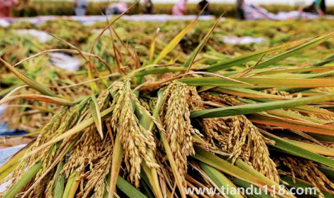 預(yù)言饑荒馬上要來了真的假的2