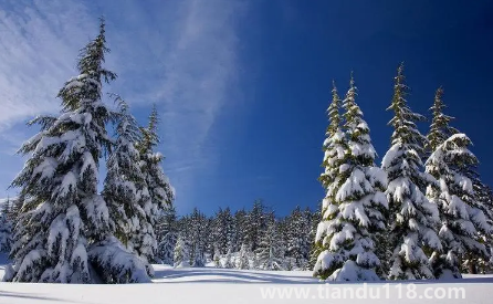 2022年到2023年冬天冷不冷1