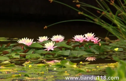 以后夏天會(huì)一年熱過一年嗎1