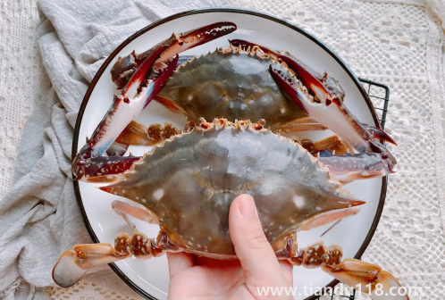 梭子蟹買回來沒多久就死了可以吃嗎（梭子蟹的做法推薦）