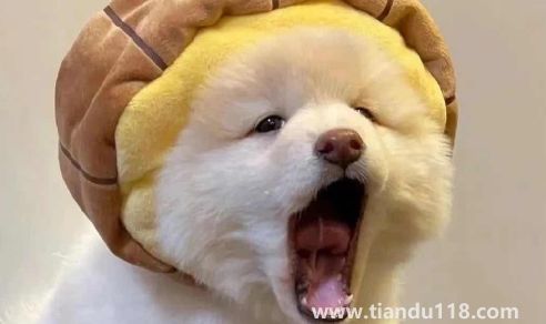 男人真正放棄你會(huì)更換頭像嗎3