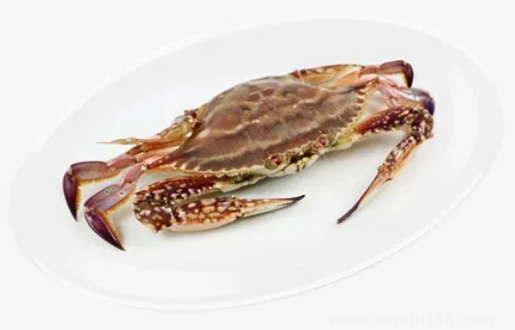 梭子蟹大的貴還是小的貴2