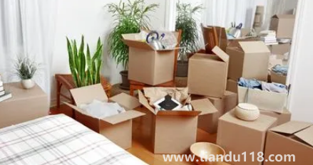 搬家要搬木頭嗎2