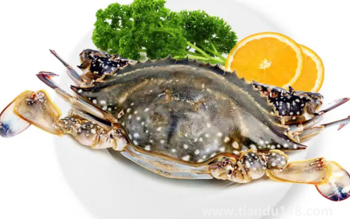 梭子蟹順豐快遞的話能活多久2