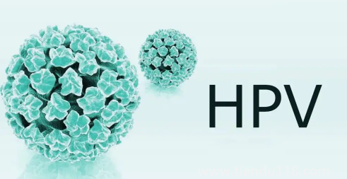 支付寶九價疫苗預約要多久3