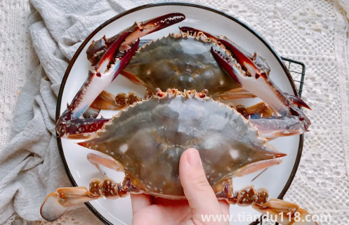 梭子蟹可以寄順豐快遞嗎(怎么看梭子蟹是否死亡)(圖1) 梭子蟹可以寄順豐快遞嗎1