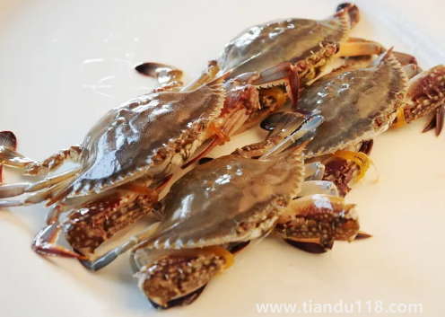 梭子蟹用高壓鍋蒸多長時(shí)間(梭子蟹哪些人不能吃)(圖3) 梭子蟹用高壓鍋蒸多長時(shí)間3