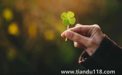 2023年兔年旺月是幾月2