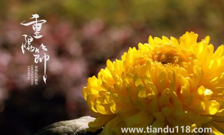 2022年重陽節(jié)天氣冷嗎1