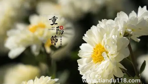 2022年學(xué)校重陽節(jié)什么時(shí)候開始放假（2022年重陽節(jié)是公歷幾月幾日）