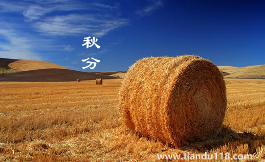 2022年秋分是農(nóng)歷幾月幾號(hào)幾點(diǎn)幾分幾秒(秋分怎么養(yǎng)生)(圖1) 2022年秋分是農(nóng)歷幾月幾號(hào)幾點(diǎn)幾分幾秒1