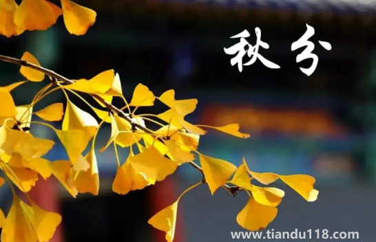 2022年秋分是農(nóng)歷幾月幾號(hào)幾點(diǎn)幾分幾秒(秋分怎么養(yǎng)生)(圖2) 2022年秋分是農(nóng)歷幾月幾號(hào)幾點(diǎn)幾分幾秒2