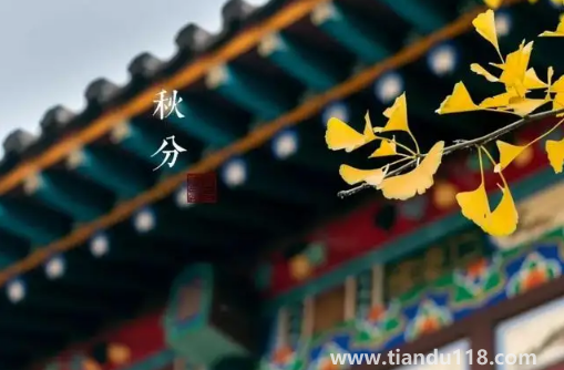 2022年秋分是農(nóng)歷幾月幾號(hào)幾點(diǎn)幾分幾秒(秋分怎么養(yǎng)生)(圖3) 2022年秋分是農(nóng)歷幾月幾號(hào)幾點(diǎn)幾分幾秒3