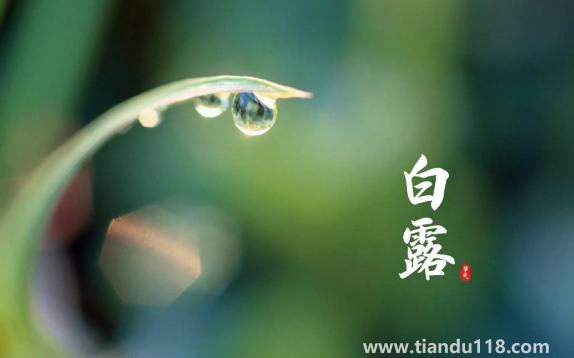 2022年白露在什么時(shí)間幾點(diǎn)幾分幾秒鐘（白露怎么養(yǎng)生）