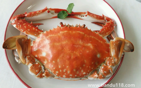 梭子蟹蟹黃在外面正常嗎1