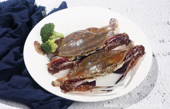 梭子蟹什么顏色是肥的1