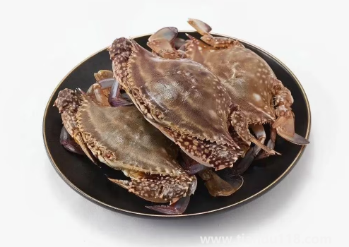 網(wǎng)購的梭子蟹上午到的到晚上吃可以嗎2