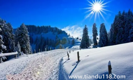 2023年冬季預(yù)測(cè)冷還是暖1