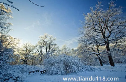 2023年冬季預(yù)測(cè)冷還是暖3