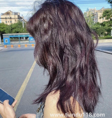 黑紫色和黑加侖紫是一個(gè)顏色嗎2