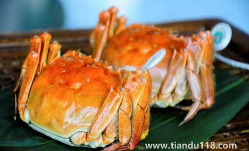 吃大閘蟹是沾醋還是醬油（大閘蟹不能和什么一起吃）
