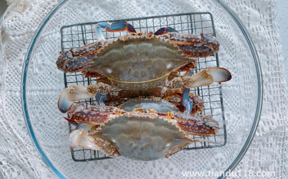 梭子蟹哪個(gè)部位最寒(螃蟹怎么吃沒(méi)那么寒)(圖2) 梭子蟹哪個(gè)部位最寒2