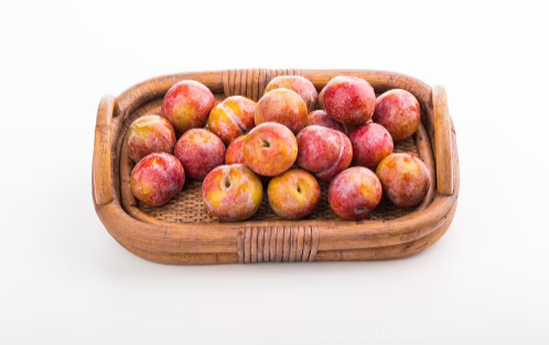 三華李和雙華李哪個(gè)更甜3