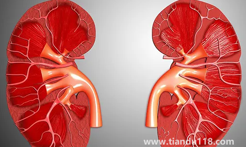 止痛藥吃多了會導(dǎo)致腎衰竭嗎2