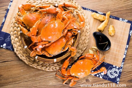 青蟹什么時候最肥最好吃3