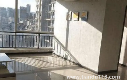 房間里放植物能增強活力陽氣嗎2