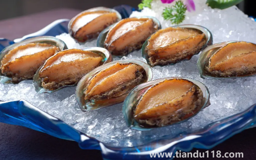 冷凍鮑魚(yú)先解凍還是先煮一下1