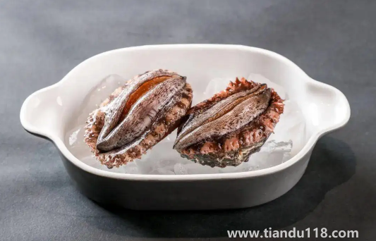 冷凍鮑魚(yú)先解凍還是先煮一下3