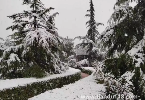 2023年哈爾濱1月份會下雪嗎2