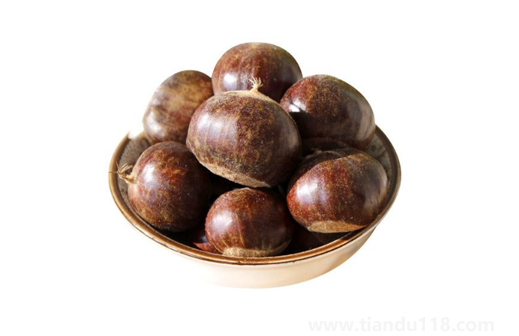 鮮板栗怎么保存不壞不招蟲子1