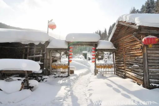 2022雪鄉(xiāng)元旦去可以看到雪嗎3