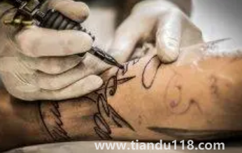 鯉魚可以隨便紋嗎3