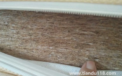 椰棕會(huì)不會(huì)生蟲子3