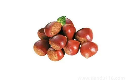 板栗生吃熟吃哪個更好（吃板栗的注意事項）