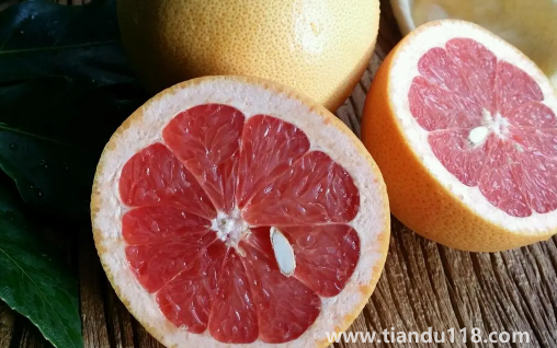 葡萄柚有籽嗎(葡萄柚是什么水果)(圖2) 葡萄柚有籽嗎2