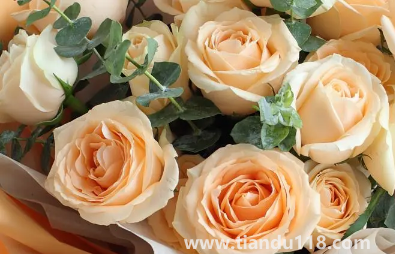 網(wǎng)上買(mǎi)的鮮花要醒花多久2