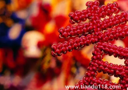 門對門掛中國結可以掛門上嗎 2